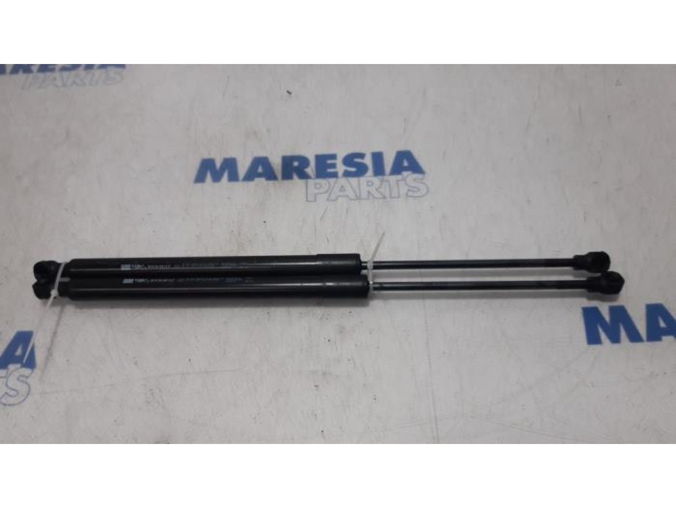 Renault - Clio - Set of tailgate gas struts