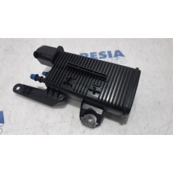 Peugeot - RCZ - Filtre carbone