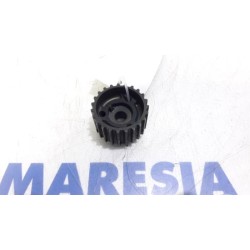 Fiat - Panda - Crankshaft sprocket