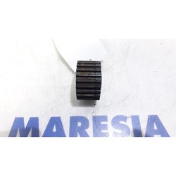 Fiat - Panda - Crankshaft sprocket