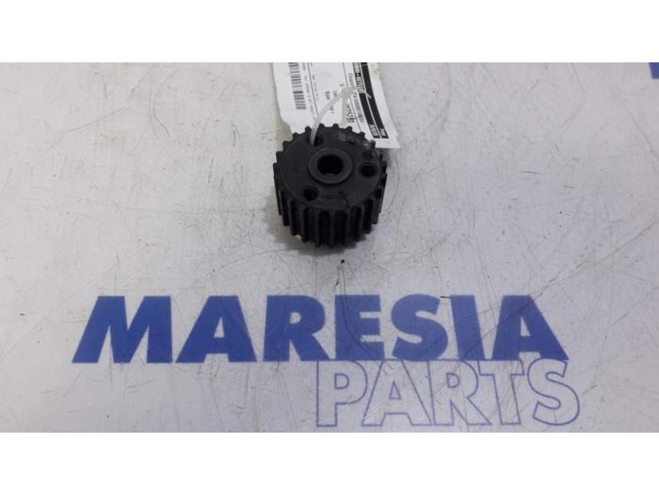 Fiat - Panda - Crankshaft sprocket