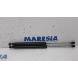 Renault - Clio - Set of tailgate gas struts