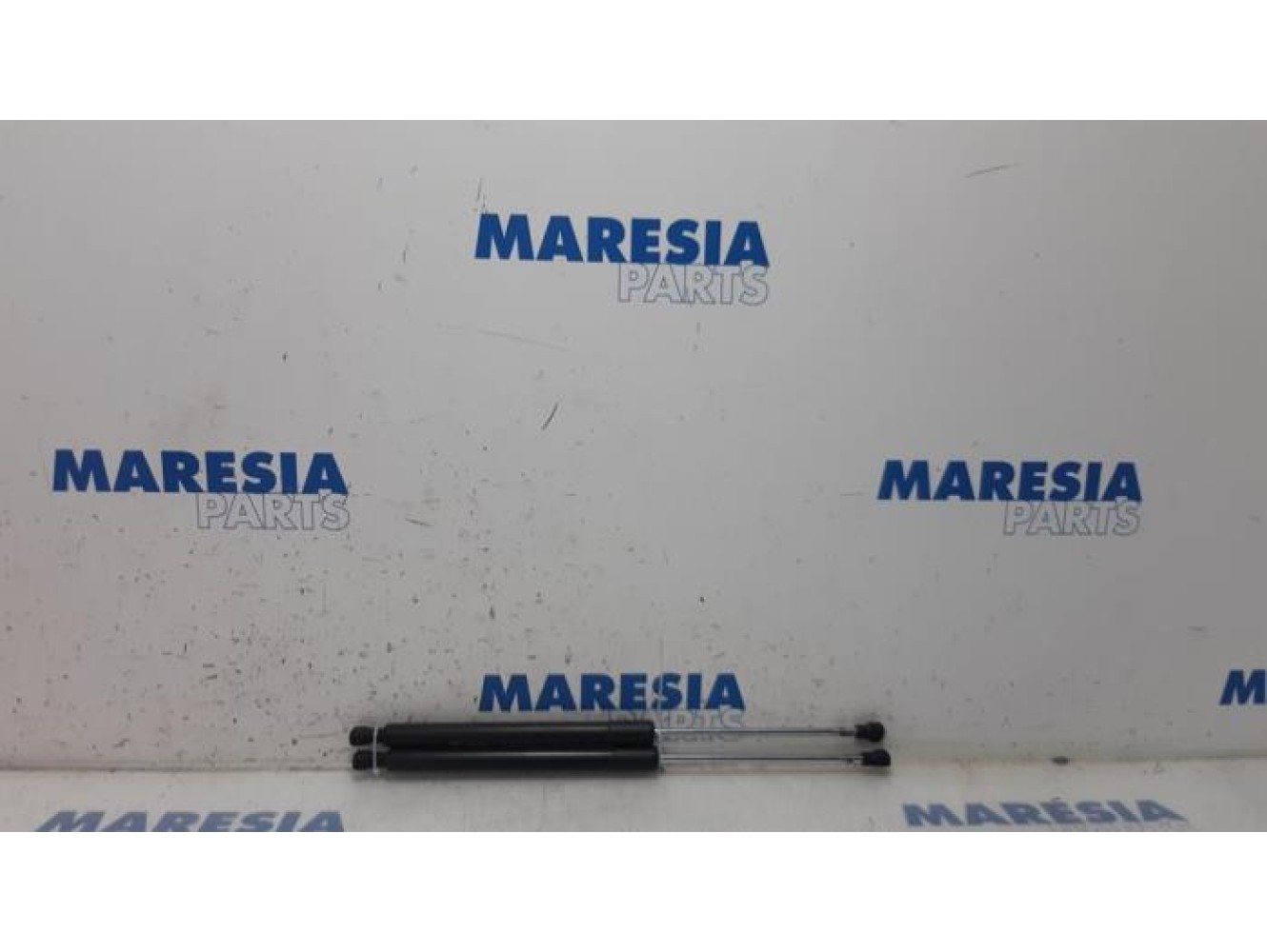 Renault - Clio - Set of tailgate gas struts