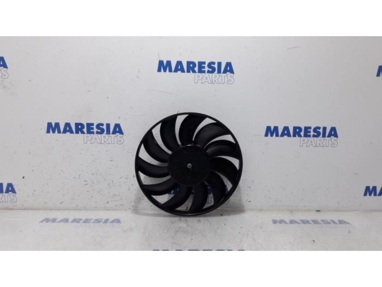 Fiat - Panda - Kühlgebläse Motor