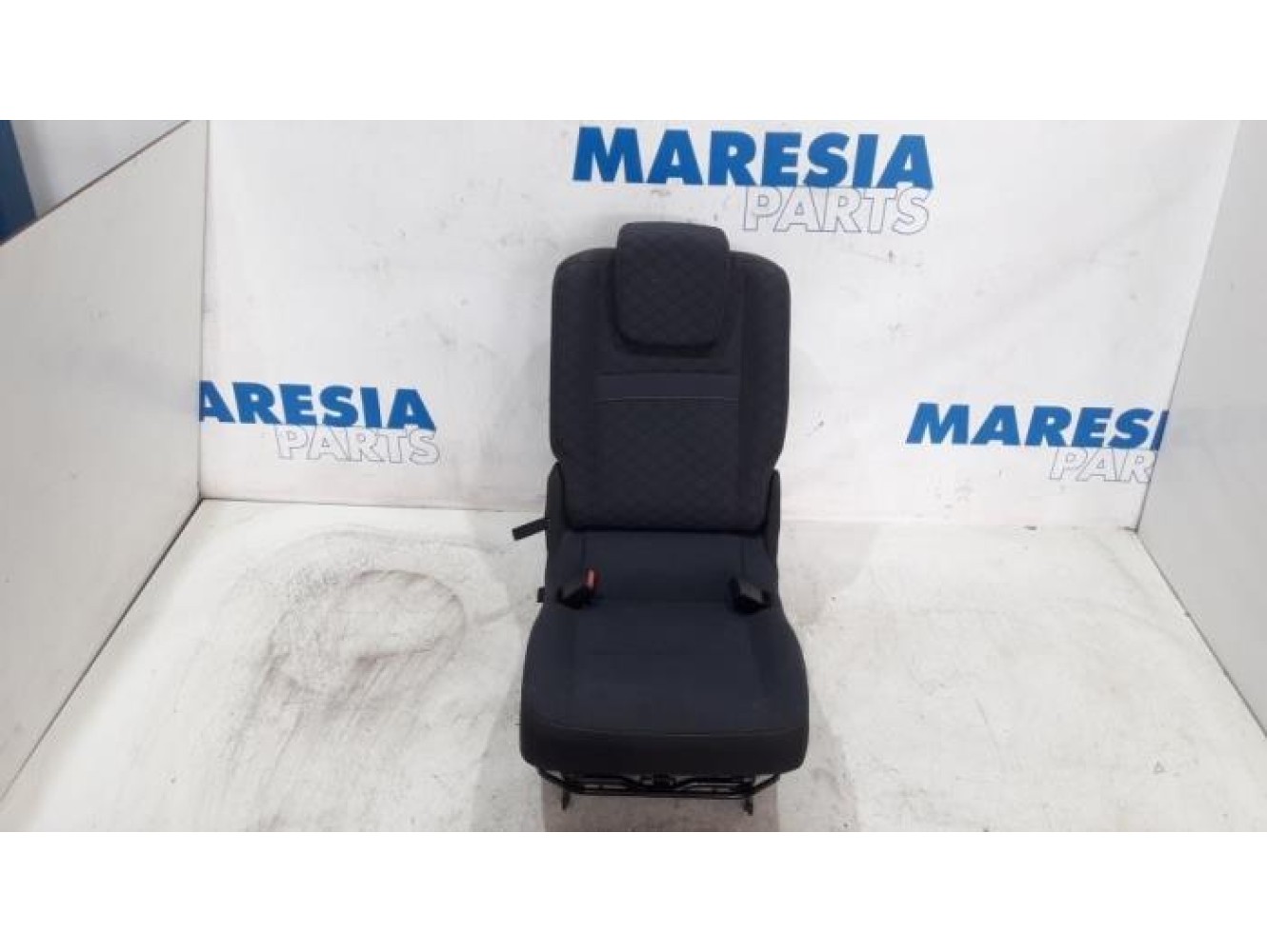 Renault - Scenic - Rear seat