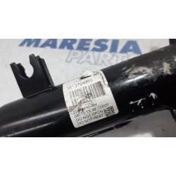 Citroen - C4 Cactus - Front shock absorber rod, left
