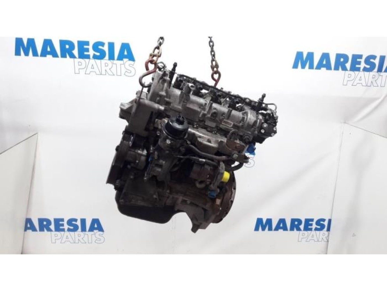Fiat - Punto Evo - Motor