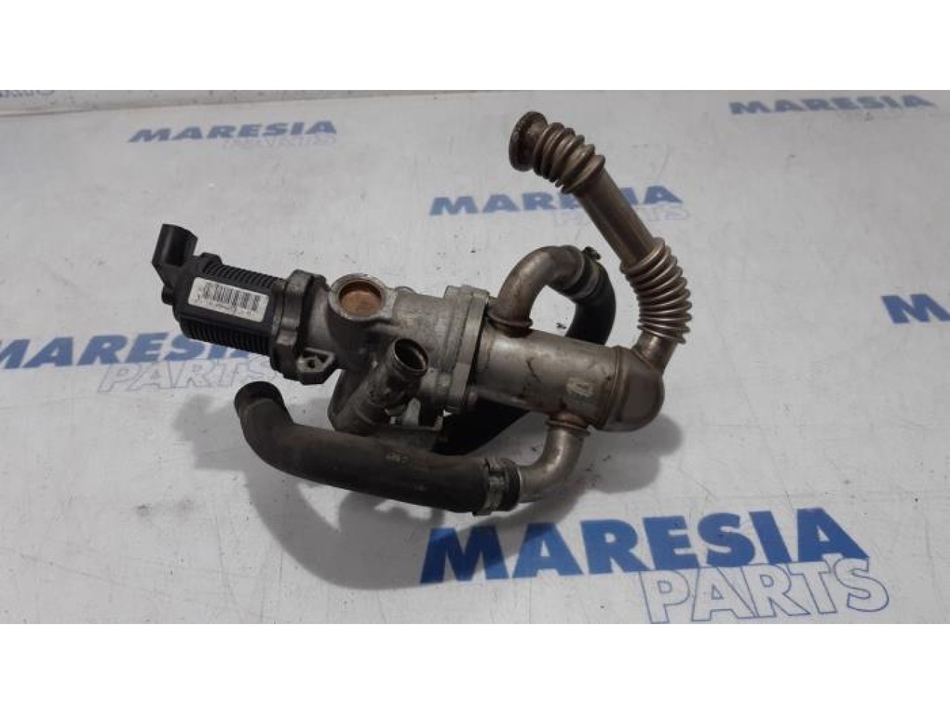 Fiat - Punto Evo - EGR valve