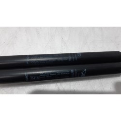 Fiat - Punto Evo - Set of tailgate gas struts