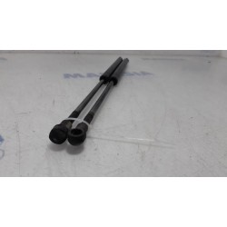 Fiat - Punto Evo - Set of tailgate gas struts