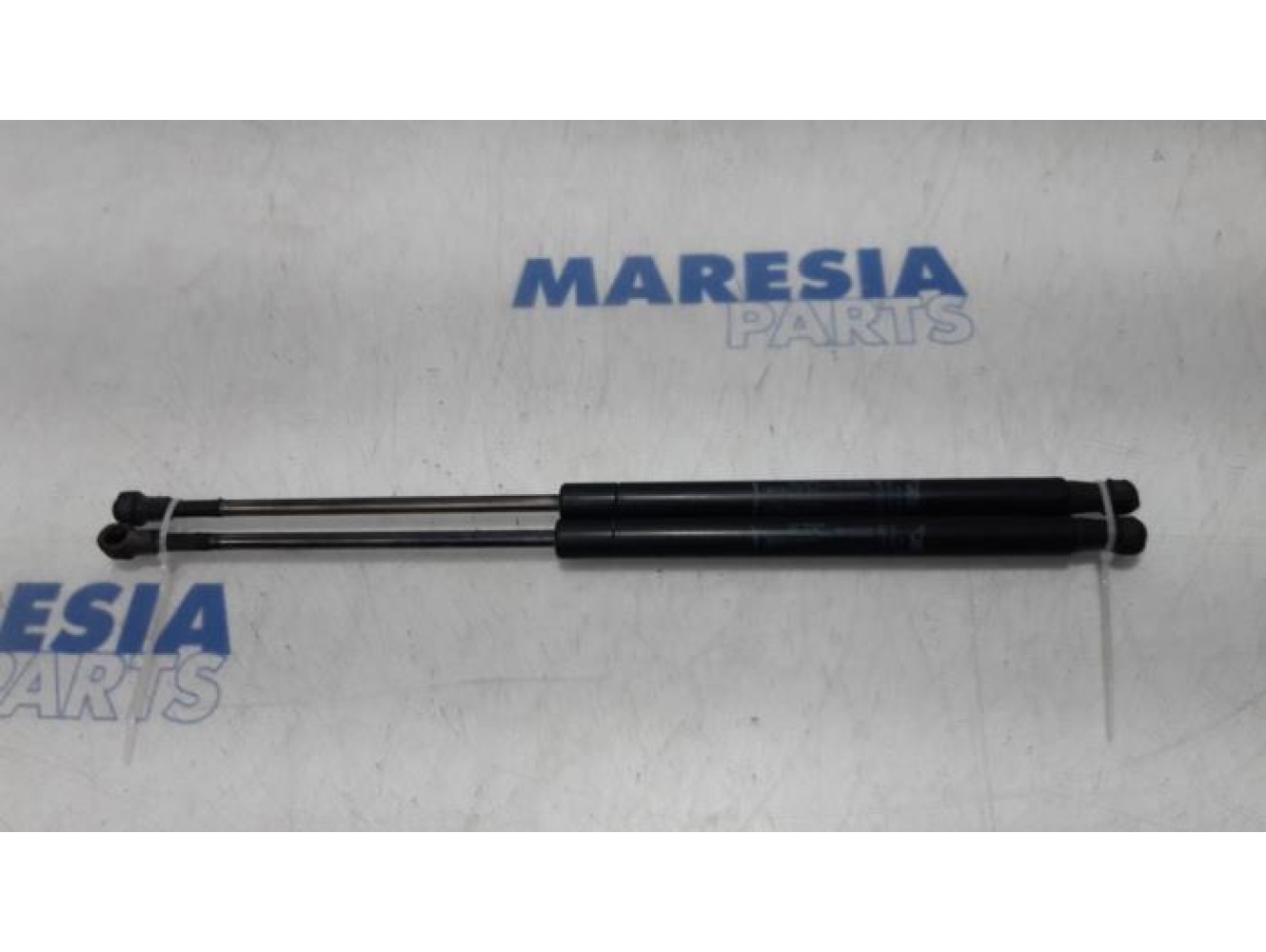 Fiat - Punto Evo - Set of tailgate gas struts