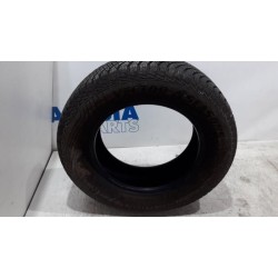 Citroen - Berlingo - Band