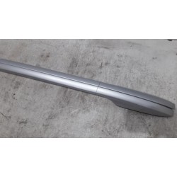 Renault - Megane - Dachreling Set