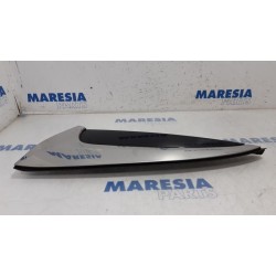 Citroen - C4 Picasso - C-style protection gauche