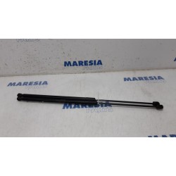 Citroen - C4 Picasso - Set Gasdempers Achterklep