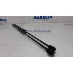 Citroen - C4 Picasso - Set Gasdempers Achterklep