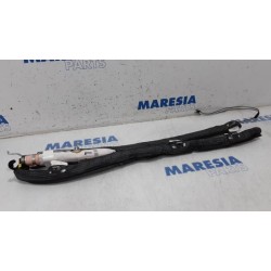 Citroen - C4 Picasso - Airbag hemel links