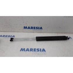 Citroen - Berlingo - Set of tailgate gas struts