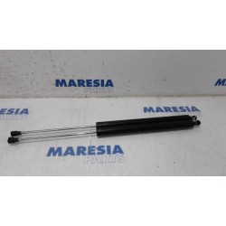 Citroen - Berlingo - Set of tailgate gas struts