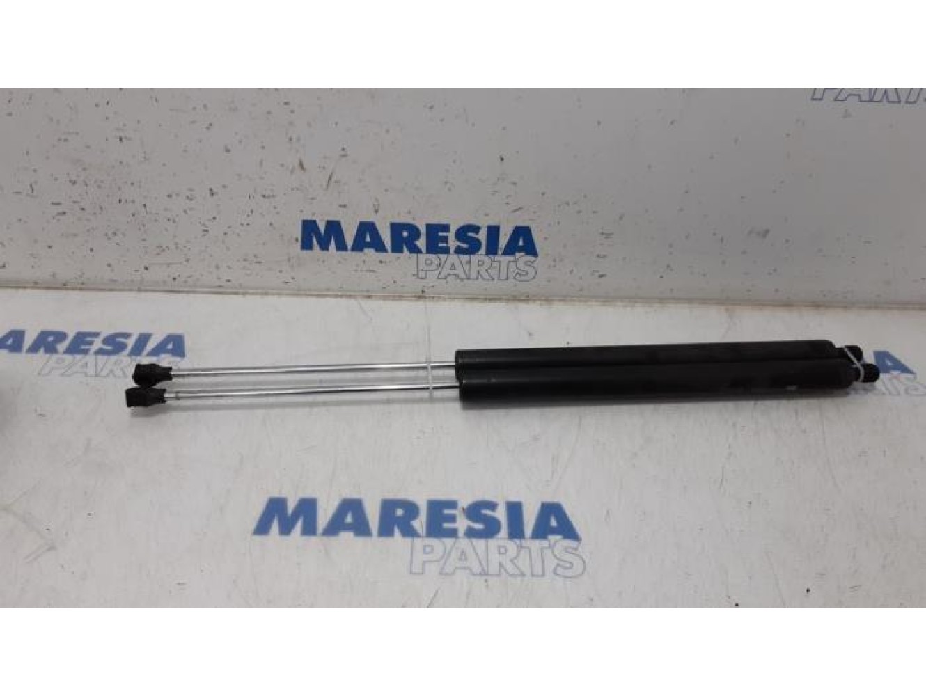 Citroen - Berlingo - Set of tailgate gas struts