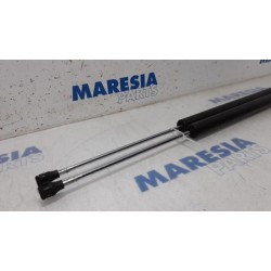 Citroen - Berlingo - Set of tailgate gas struts