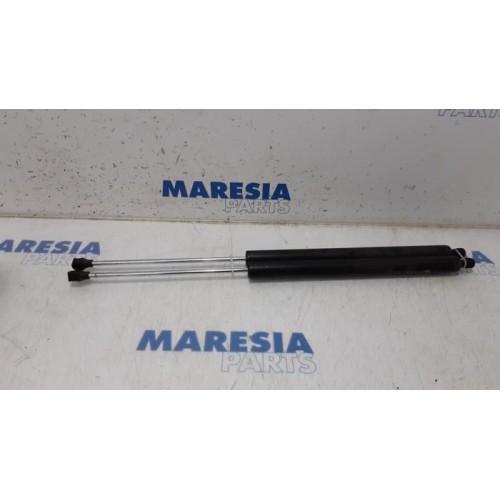 Citroen - Berlingo - Set of tailgate gas struts