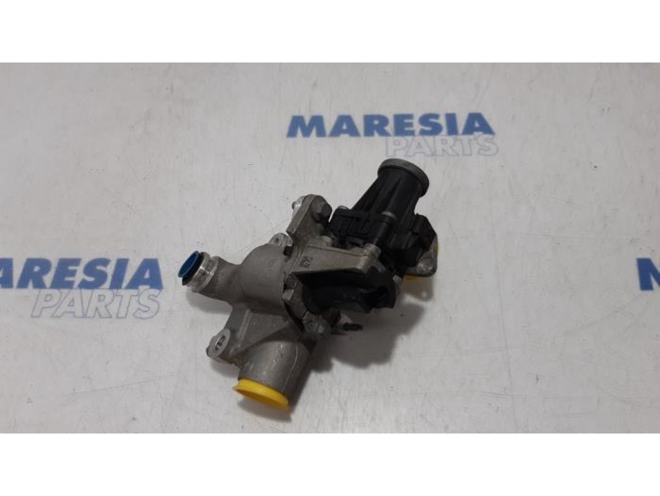 Renault - Megane - EGR valve