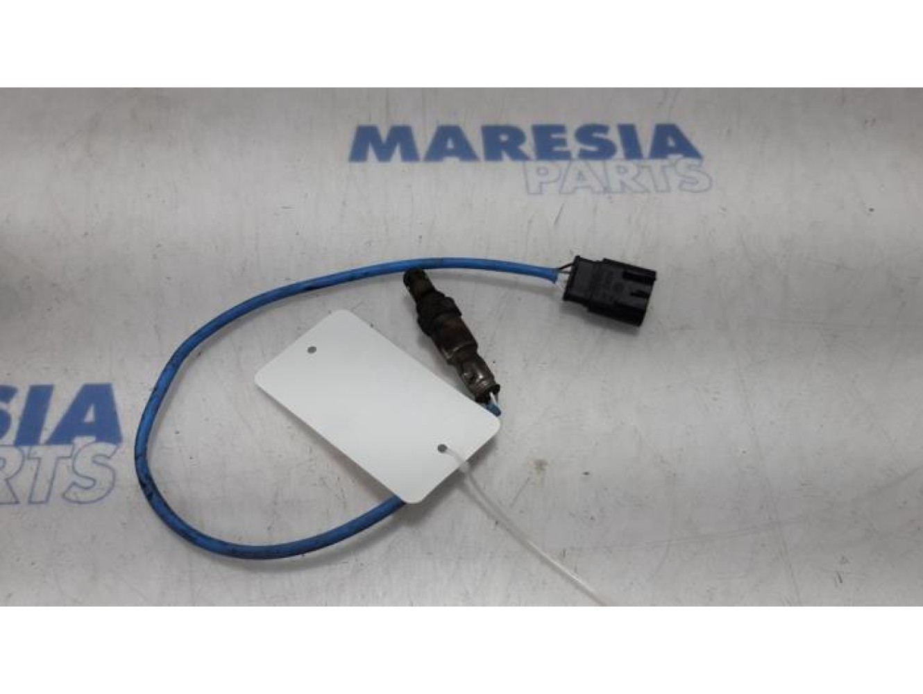Fiat - Panda - Sonde lambda