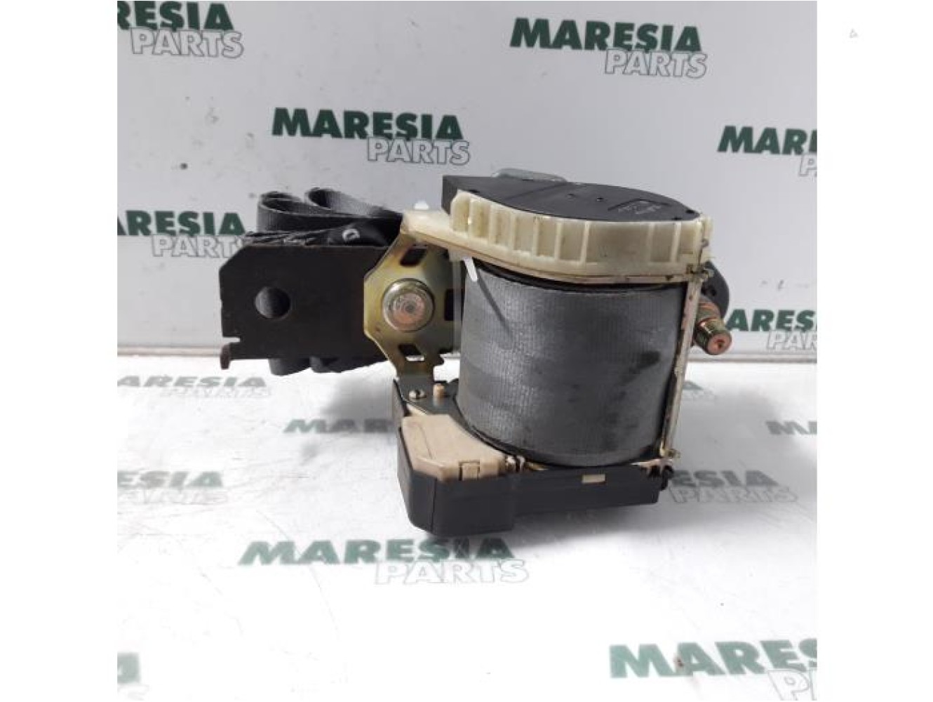 Renault - Megane Scenic - Sicherheitsgurt links hinten