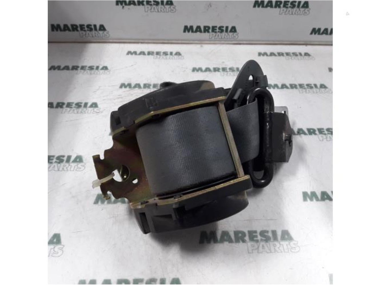 Renault - Megane Scenic - Sicherheitsgurt links hinten