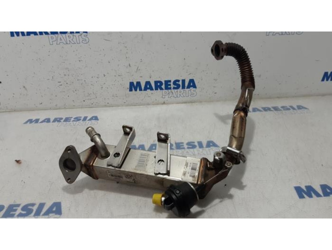 Renault - Trafic - EGR valve