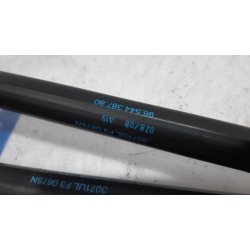 Citroen - C4 Grand Picasso - Set of tailgate gas struts