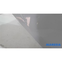 Renault - Clio - Portier 4Deurs rechts-achter