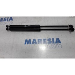 Renault - Clio - Set of tailgate gas struts