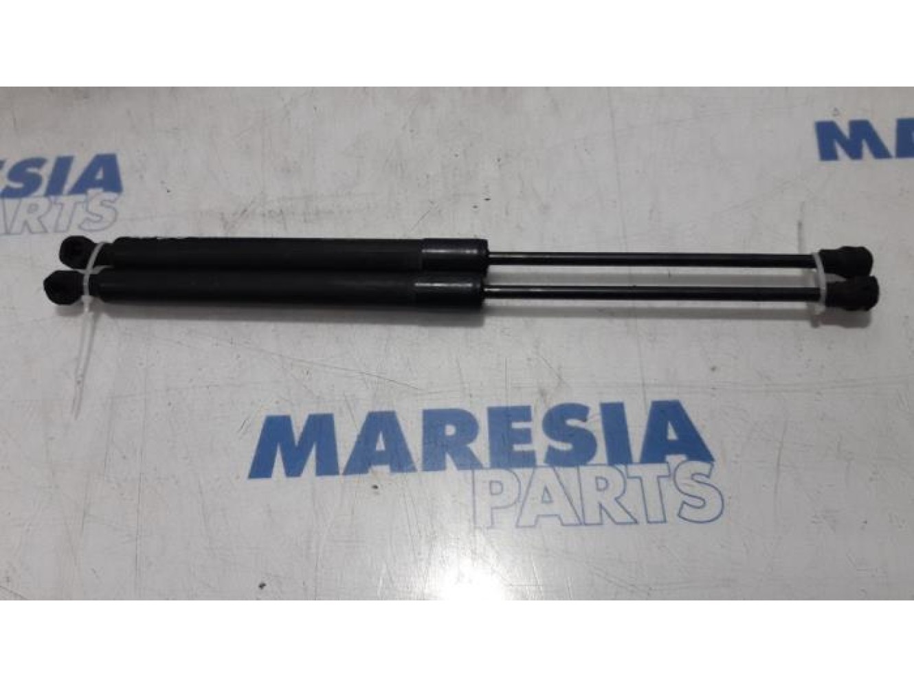 Renault - Clio - Set of tailgate gas struts