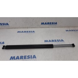 Renault - Espace - Set of tailgate gas struts