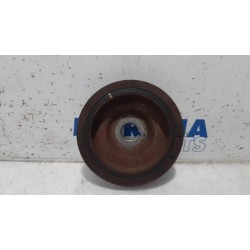 Renault - Megane - Krukas Poelie