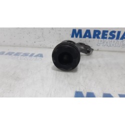 Fiat - Doblo - Piston