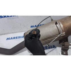 Renault - Master - Catalyseur