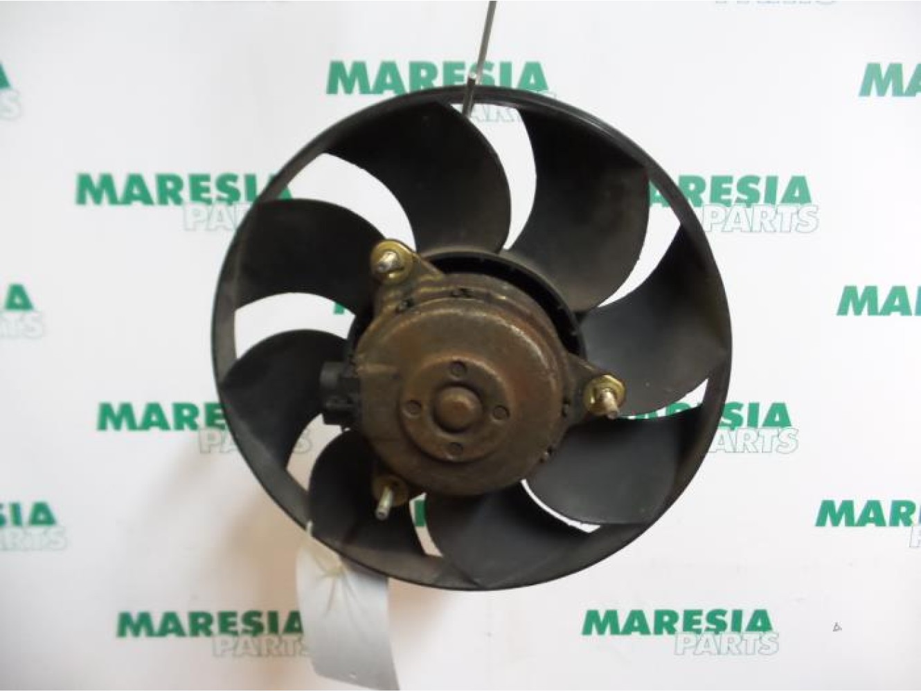 Alfa Romeo - GTV - Kühlgebläse Motor