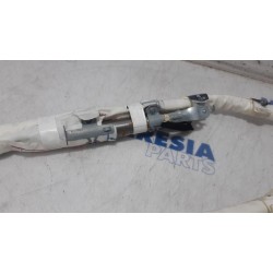 Renault - Megane - Airbag hemel links