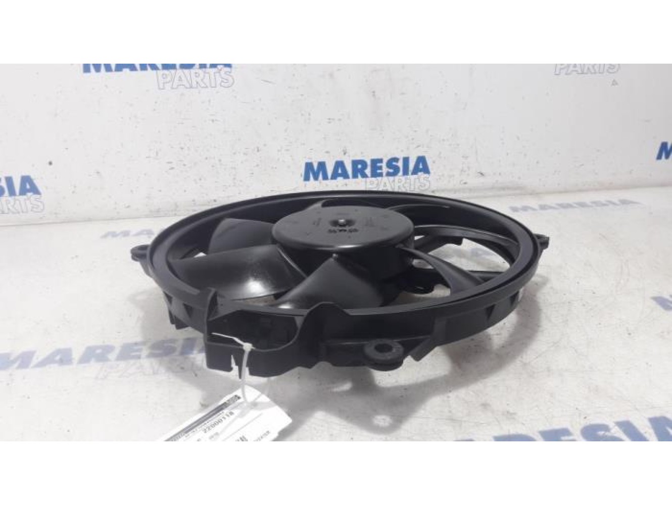 Renault - Megane - Kühlgebläse Motor