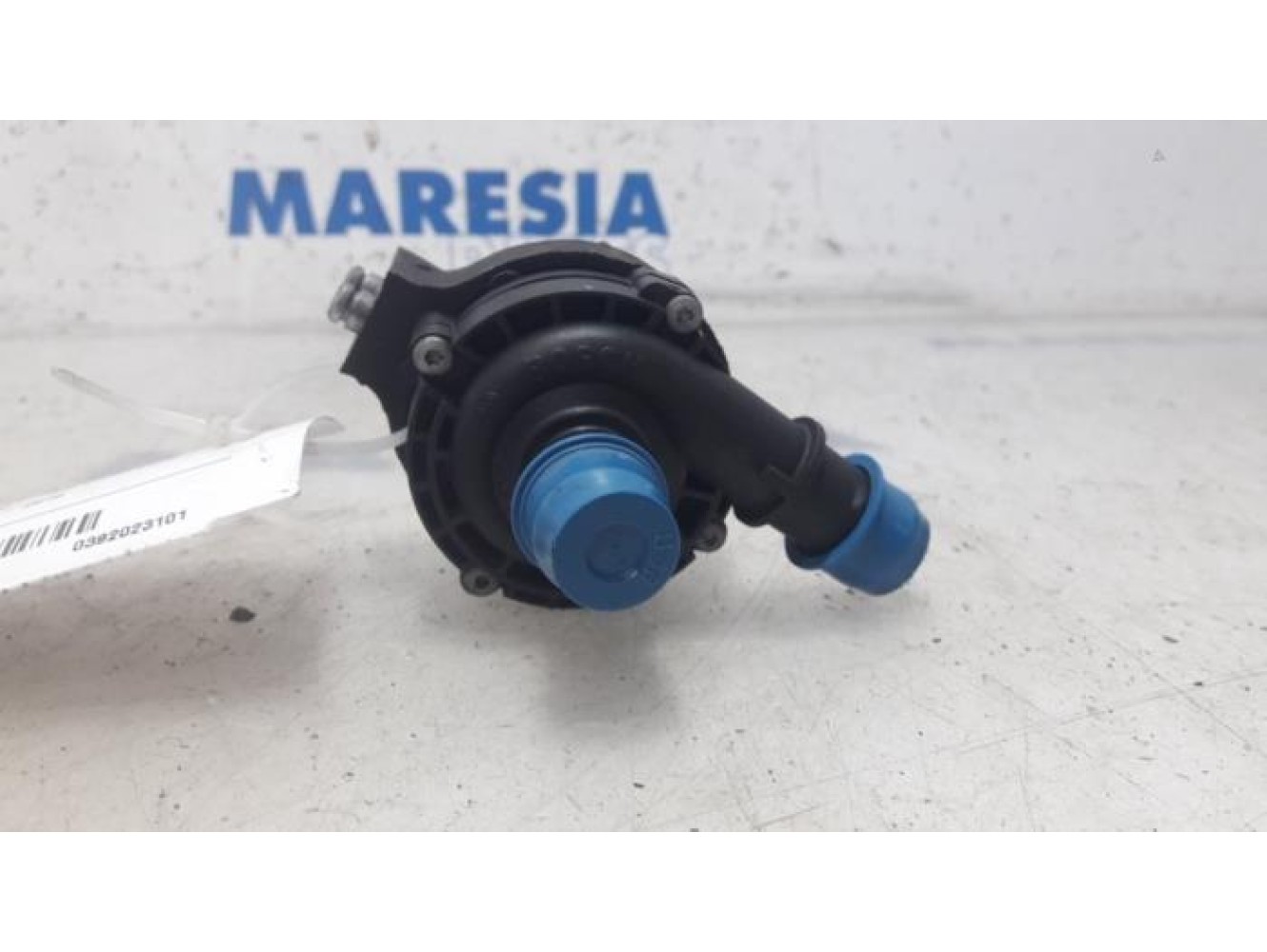 Renault - Grand Scenic - Waterpomp