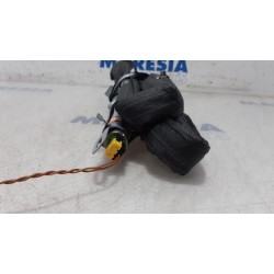 Citroen - C3 - Airbag hemel rechts