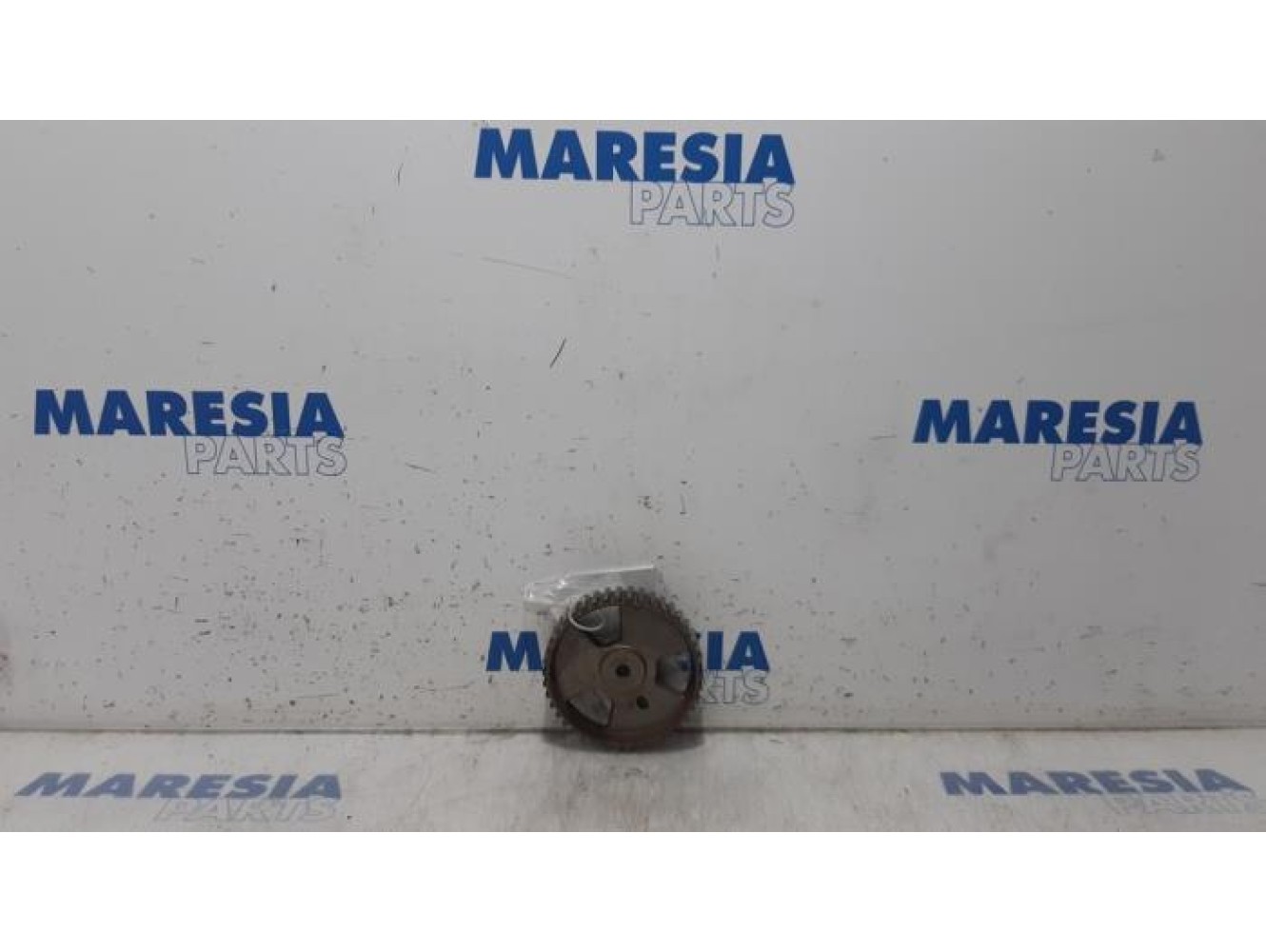 Fiat - Scudo - Camshaft sprocket