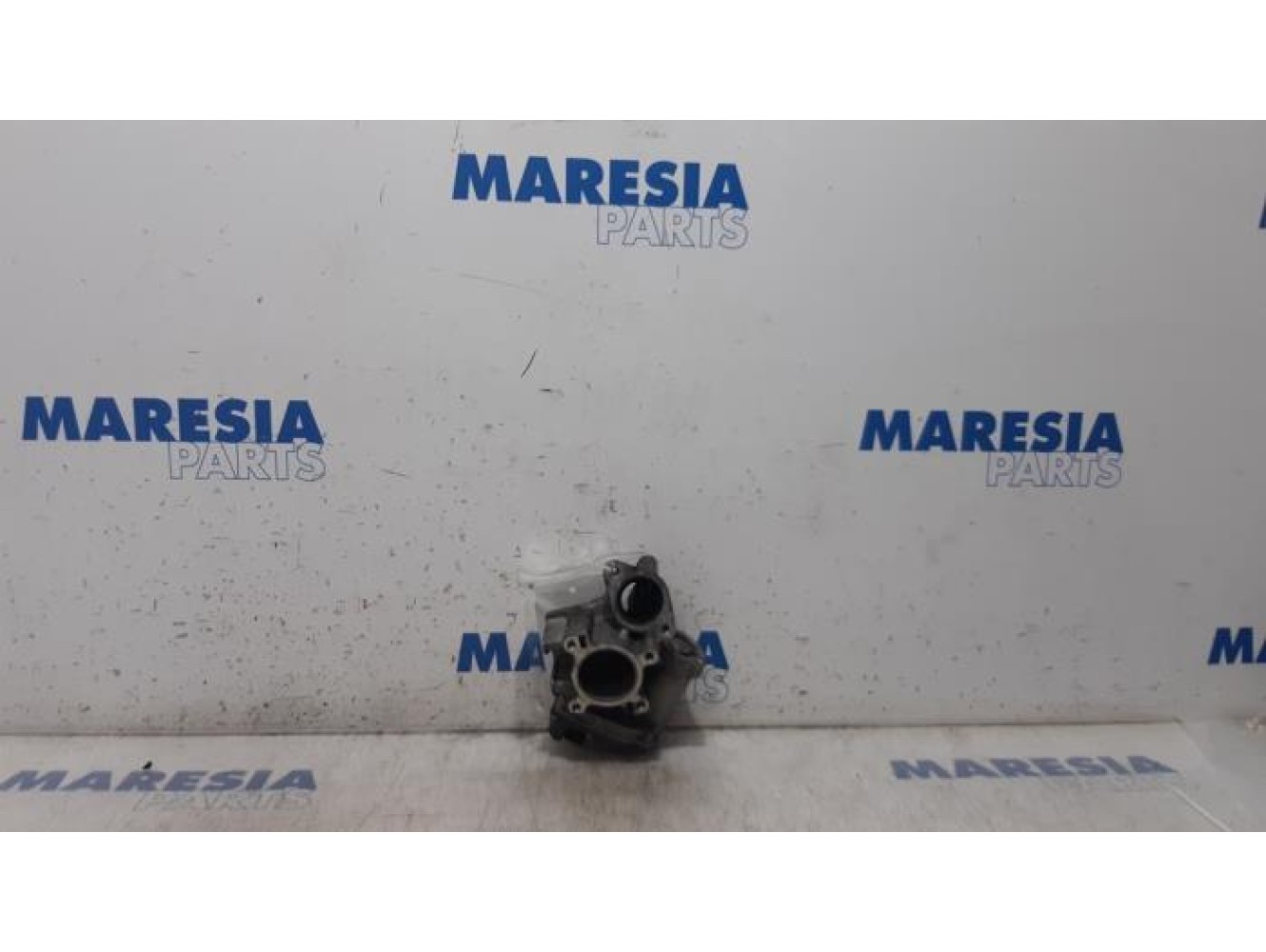 Renault - Master - EGR valve