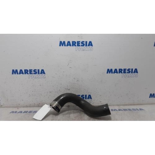 Renault - Trafic - Intercooler hose