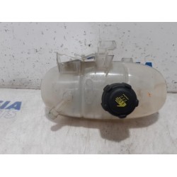 Renault - Trafic - Expansievat