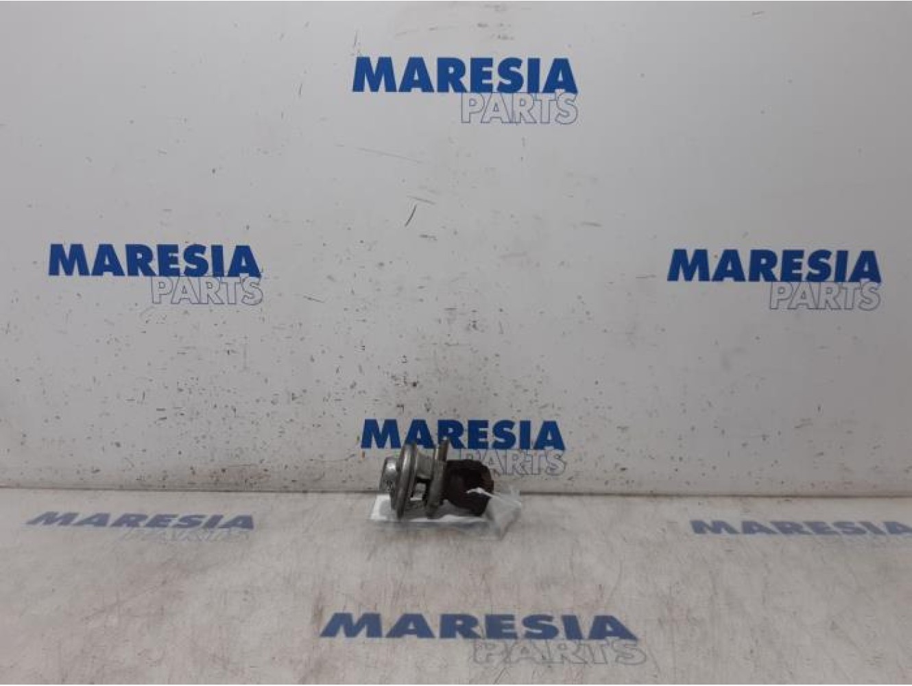 Fiat - Ducato - EGR valve