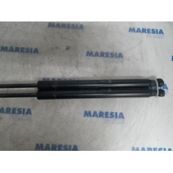 Fiat - Panda - Kit amortisseur gaz hayon